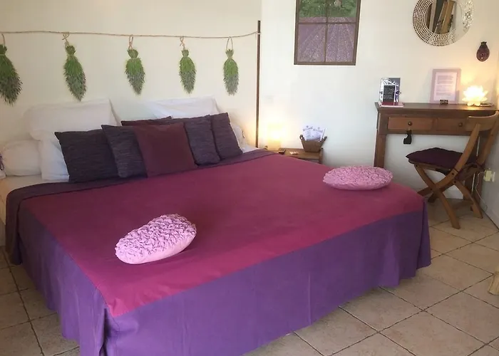 马斯杜卡卓尼尔酒店 Villeneuve (Alpes-de-Haute-Provence)